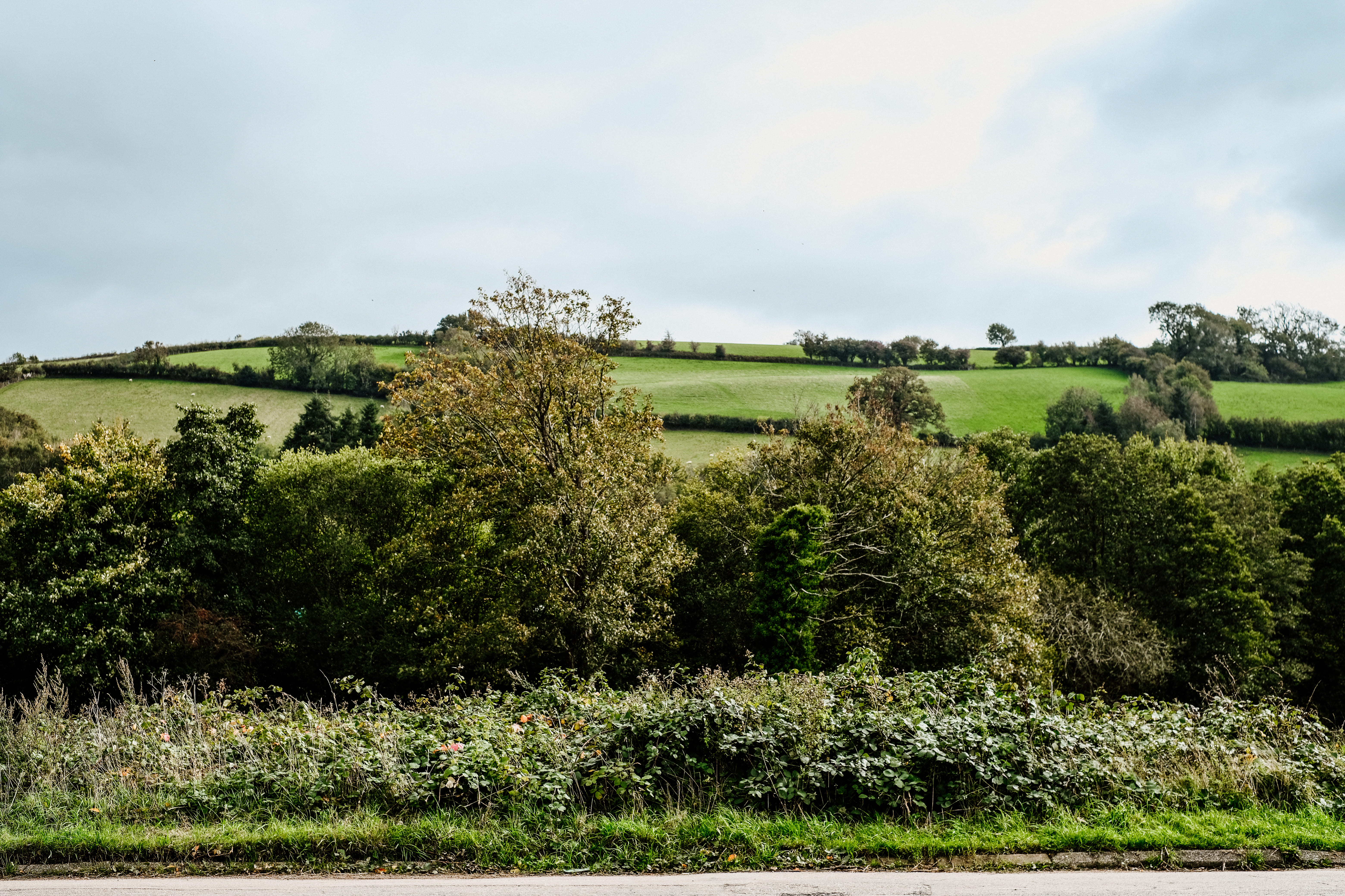  Edge of the Dartmoor National Park